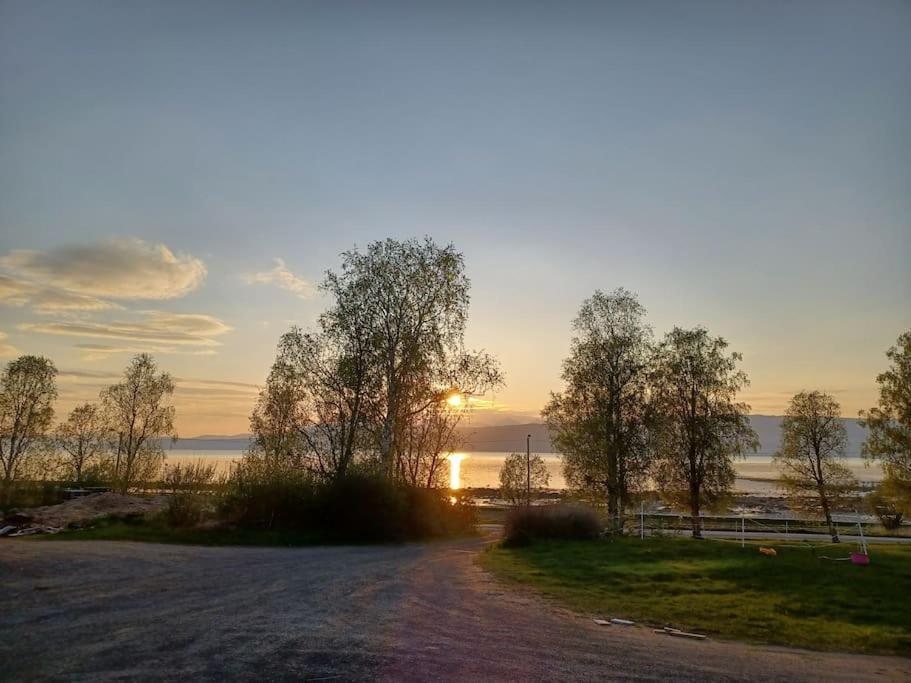 Farmroom With Sauna And Aurora Narwik Zewnętrze zdjęcie